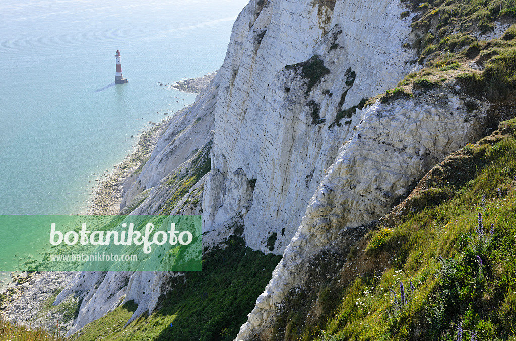 533366 - Leuchtturm und Kreideküste, Beachy Head, Nationalpark South Downs, Großbritannien