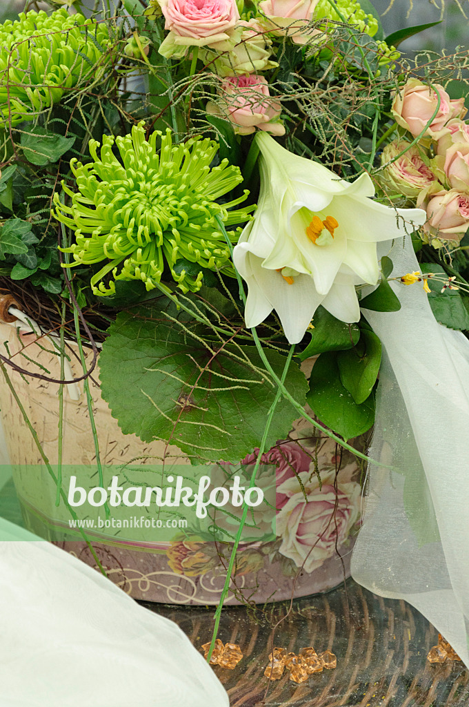 472043 - Lilien (Lilium), Nadelkissen (Leucospermum) und Rosen (Rosa)