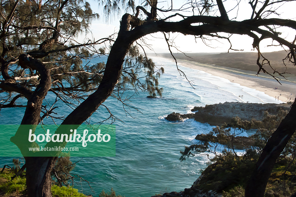 455108 - Main Beach, Point Lookout, North Stradbroke Island, Australien