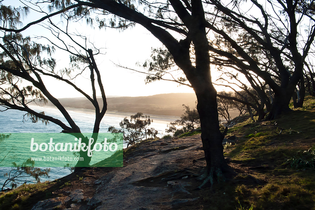 455109 - Main Beach, Point Lookout, North Stradbroke Island, Australien