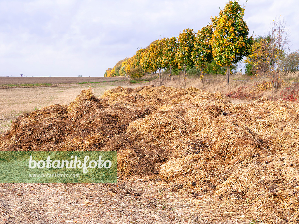 525234 - Misthaufen auf einem Feld, Brandenburg, Deutschland