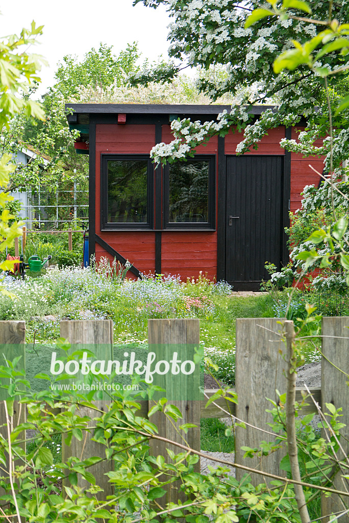 532003 - Naturgarten mit Gartenlaube und Holzzaun