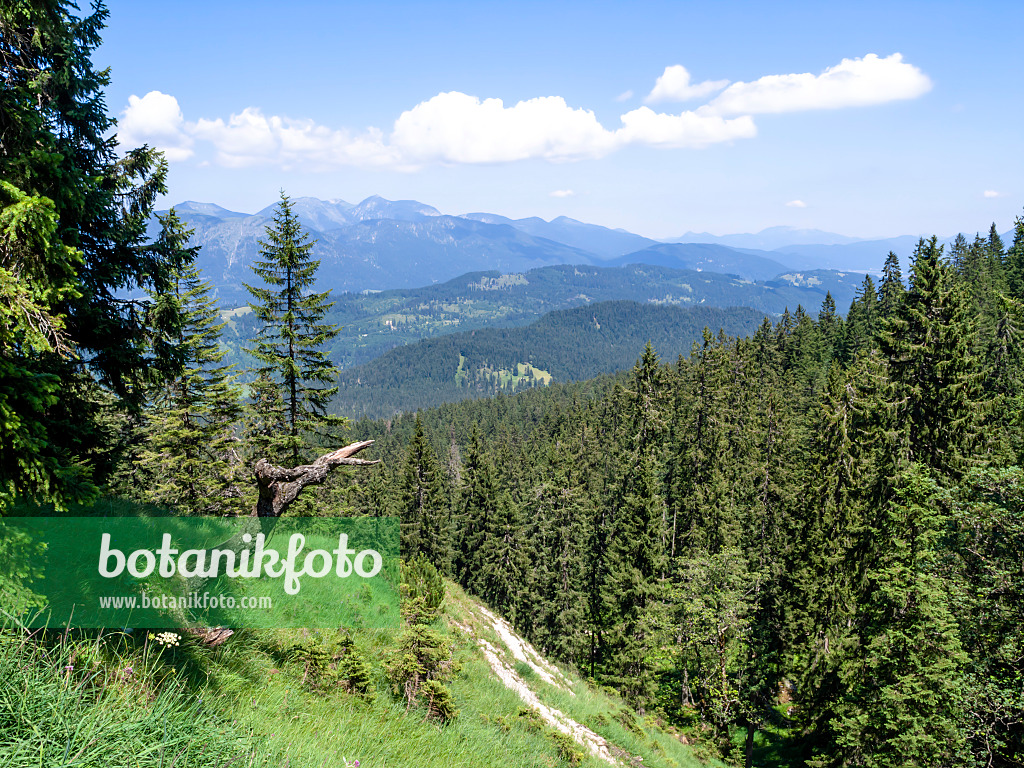 439338 - Naturschutzgebiet Wettersteingebirge, Deutschland