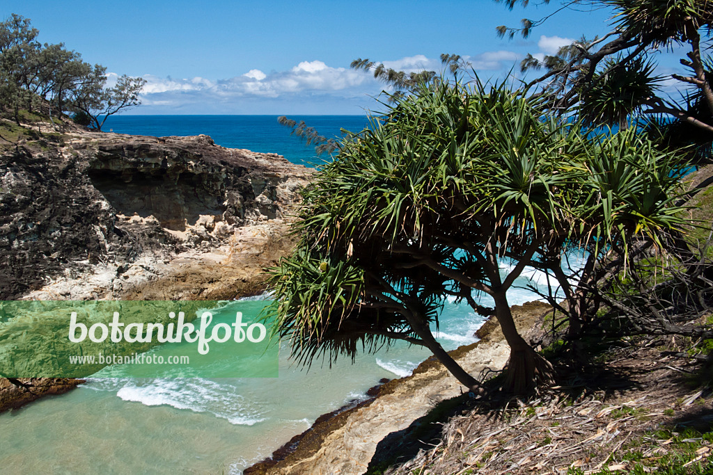 455093 - North Gorge, Point Lookout, North Stradbroke Island, Australien