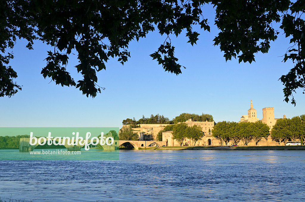 557219 - Pont Saint-Bénézet und Papstpalast, Avignon, Provence, Frankreich