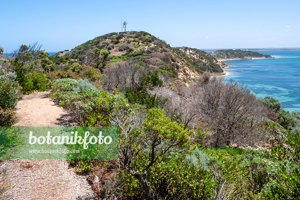 455242 - Port Phillip Bay, Nationalpark Point Nepean, Australien