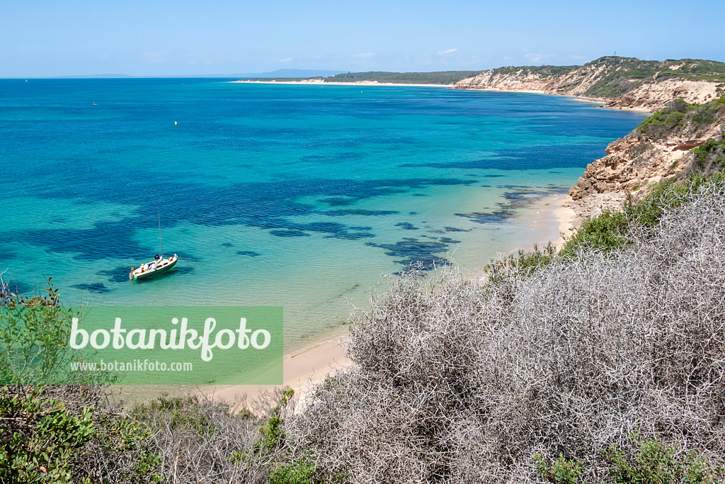 455252 - Port Phillip Bay, Nationalpark Point Nepean, Australien