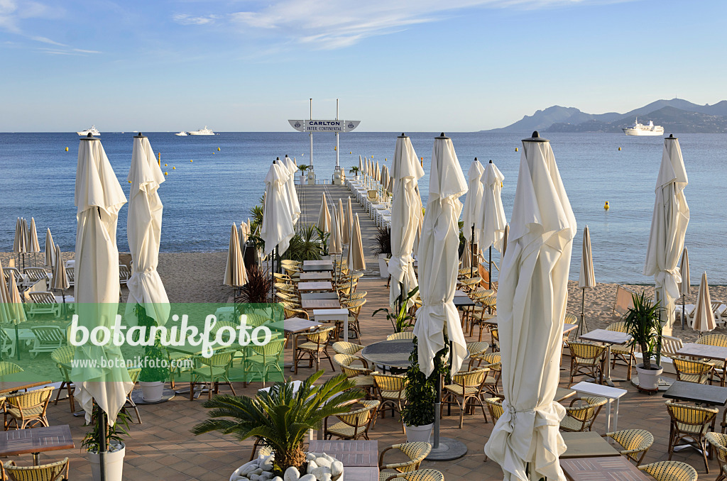 569021 - Restaurant an der Promenade de la Croisette, Cannes, Frankreich