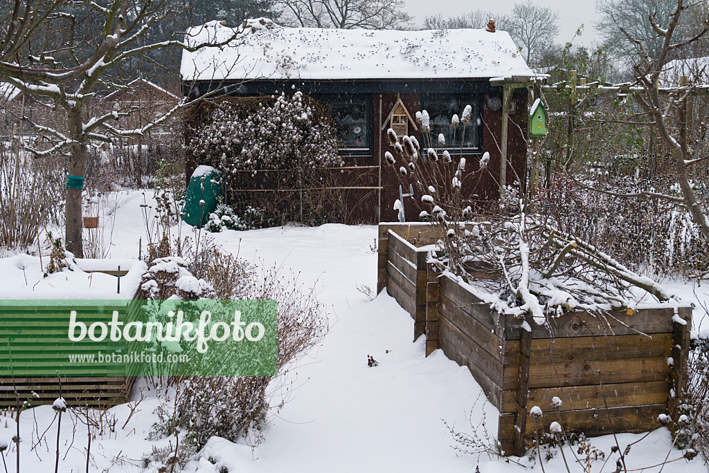 529002 - Schneebedeckte Hochbeete vor einer Gartenlaube in einem winterlichen Kleingarten