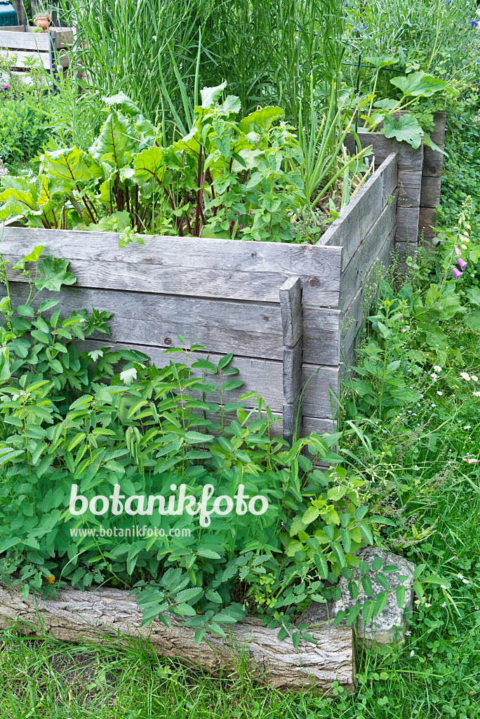 557044 - Selbstgebautes Hochbeet in einem Naturgarten