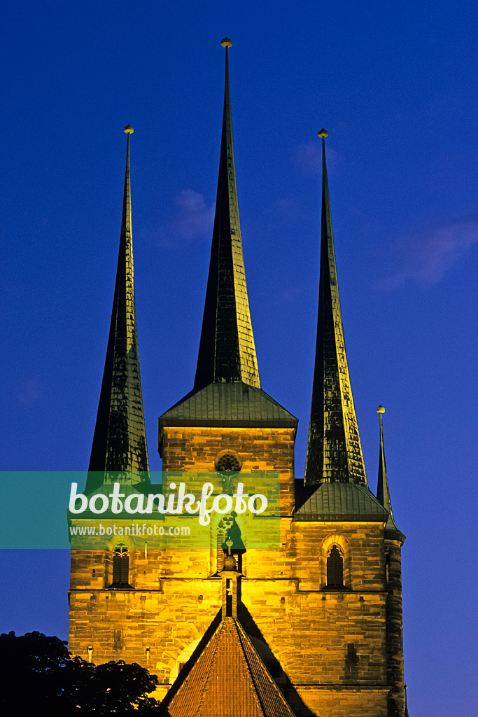 381070 - Severikirche, Erfurt, Deutschland