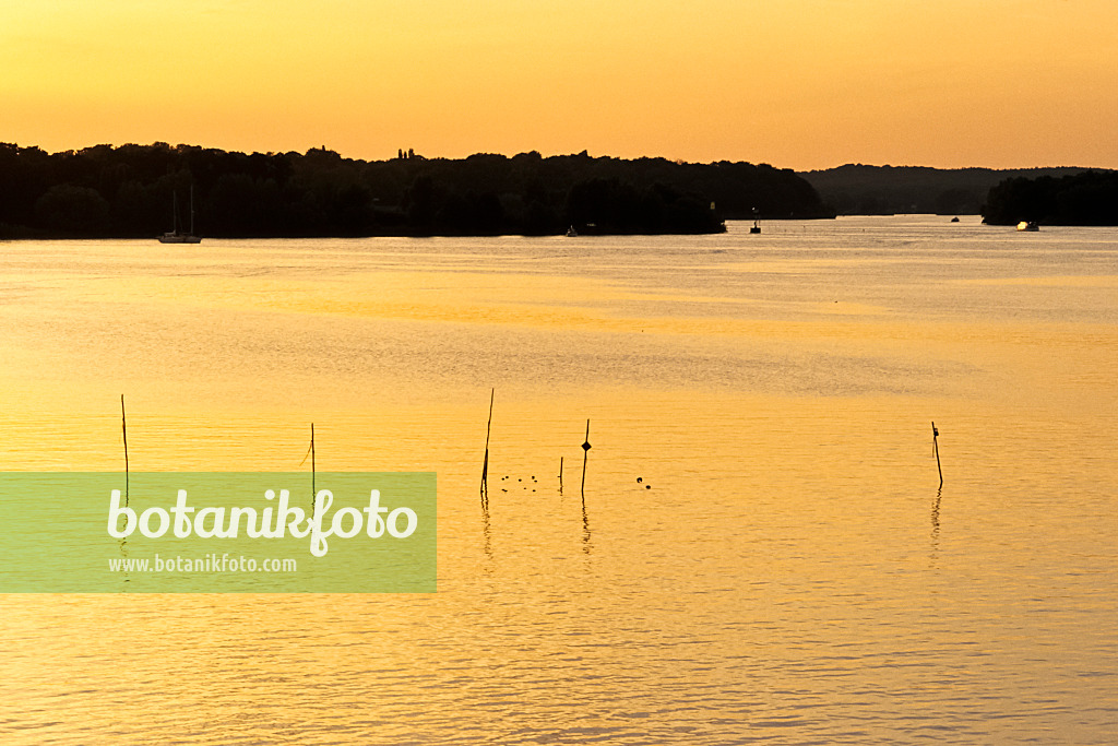 381012 - Spiegelungen im Wasser mit Reusenstangen bei Abendsonne, Jungfernsee, Brandenburg, Deutschland