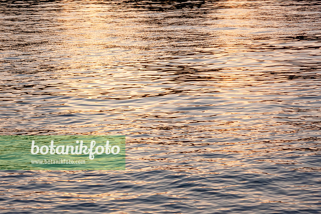 452250 - Spiegelungen in leicht bewegtem Wasser bei Abendsonne