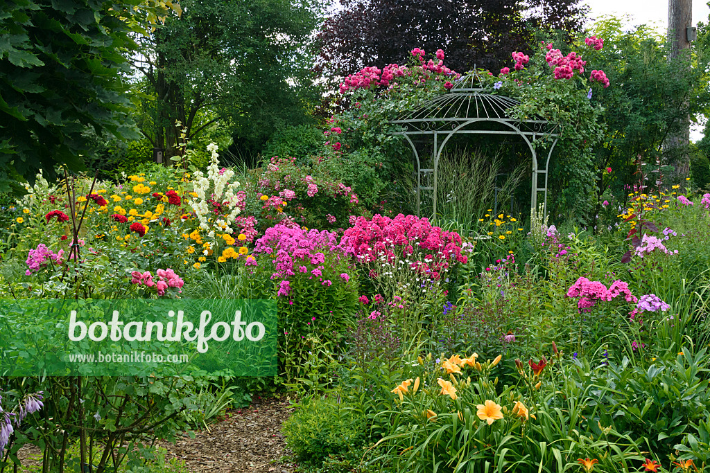 558012 - Staudenphlox (Phlox paniculata), Rosen (Rosa) und Taglilien (Hemerocallis) vor einem Gartenpavillon