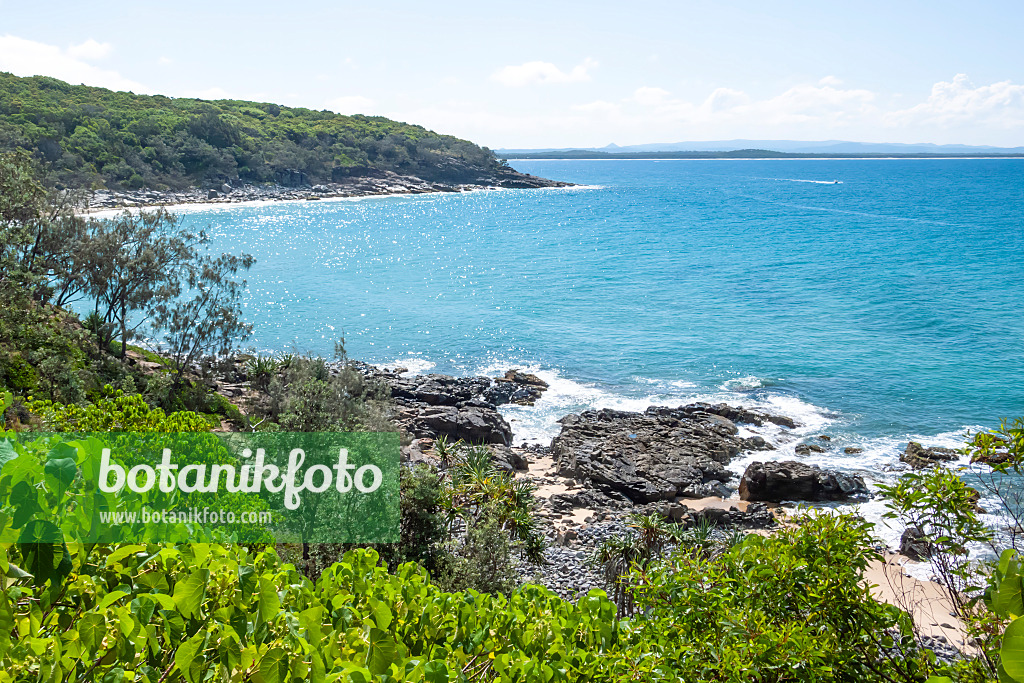 455129 - Tea Tree Bay, Nationalpark Noosa, Australien