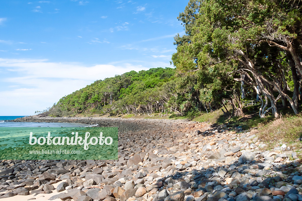 455132 - Tea Tree Bay, Nationalpark Noosa, Australien