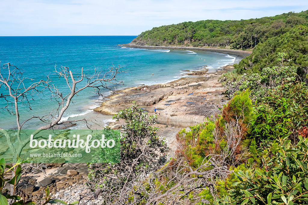 455133 - Tea Tree Bay, Nationalpark Noosa, Australien