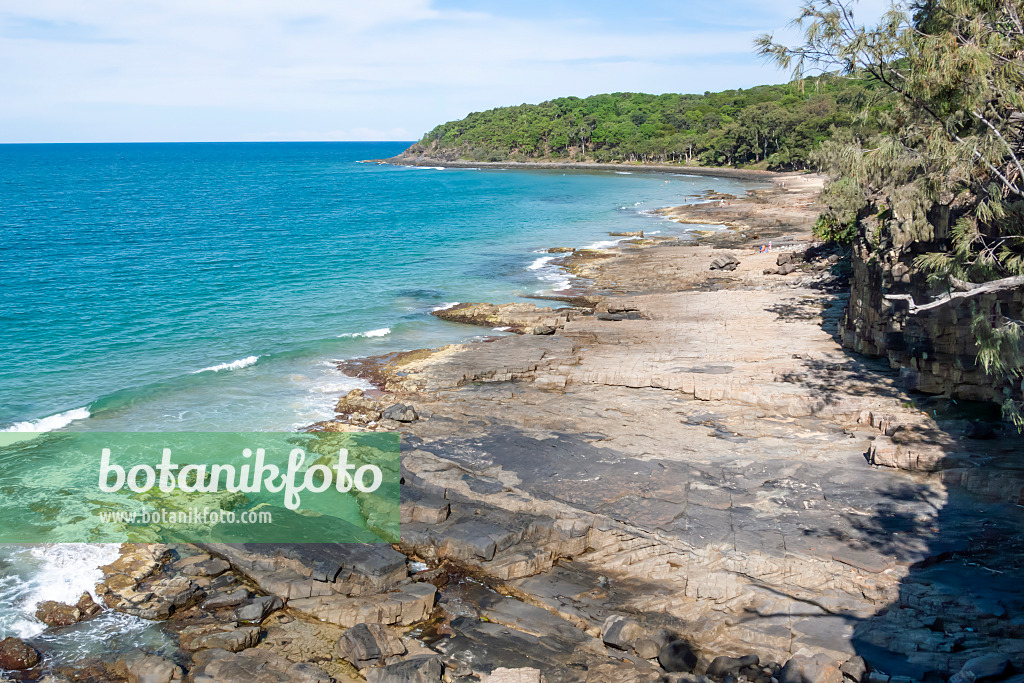 455134 - Tea Tree Bay, Nationalpark Noosa, Australien