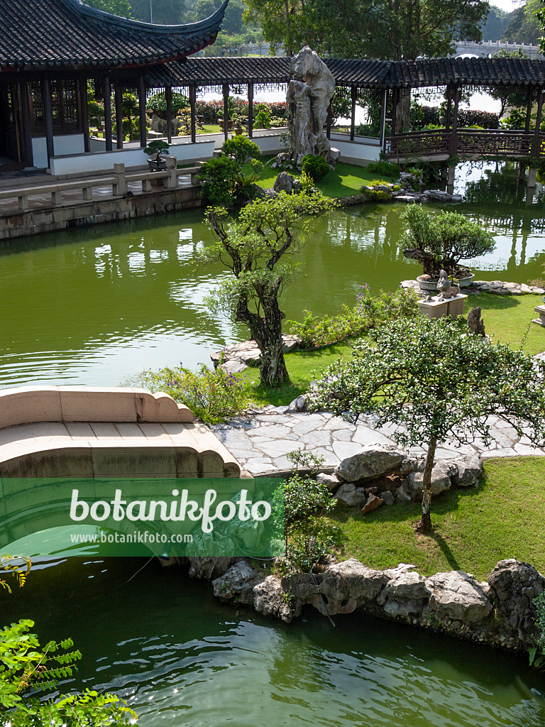 411201 - Teich, steinerne Brücke und Haus mit pagodenförmigem Dach, Bonsaigarten, Singapur