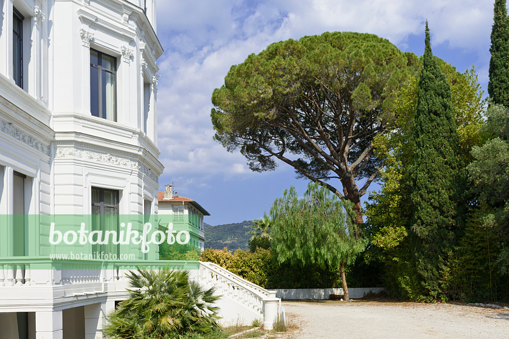 569121 - Villa, Nizza, Frankreich