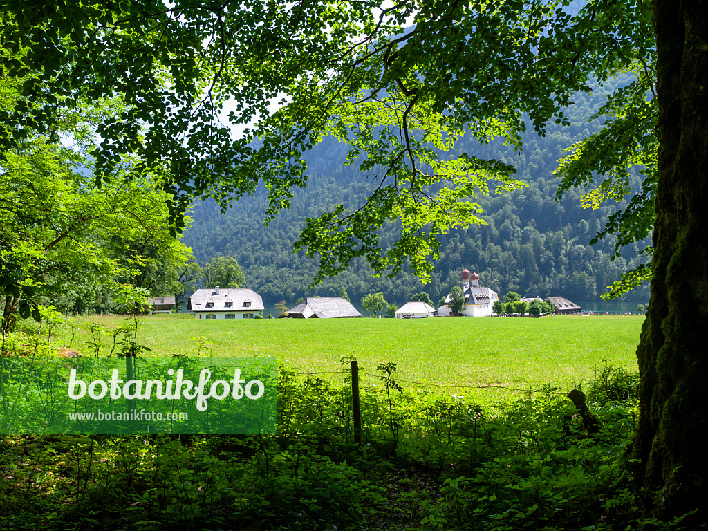 439135 - Wallfahrtskirche St. Bartholomä, Nationalpark Berchtesgaden, Deutschland