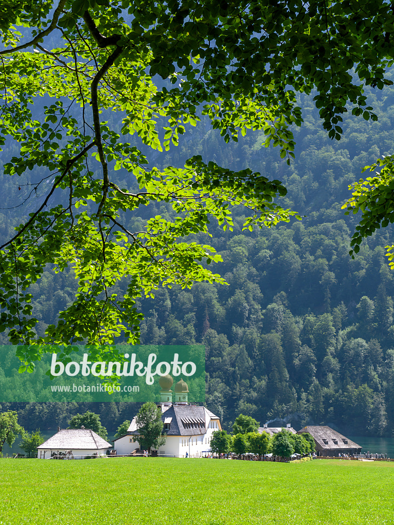 439136 - Wallfahrtskirche St. Bartholomä, Nationalpark Berchtesgaden, Deutschland