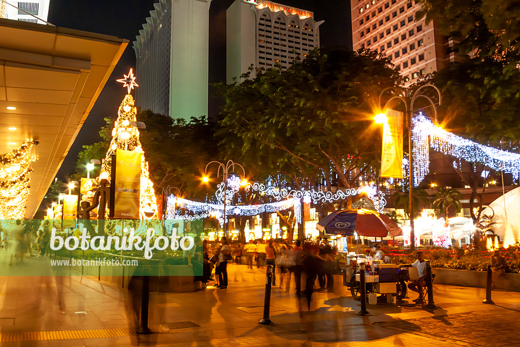 454131 - Weihnachtsschmuck auf der Orchard Road, Singapur