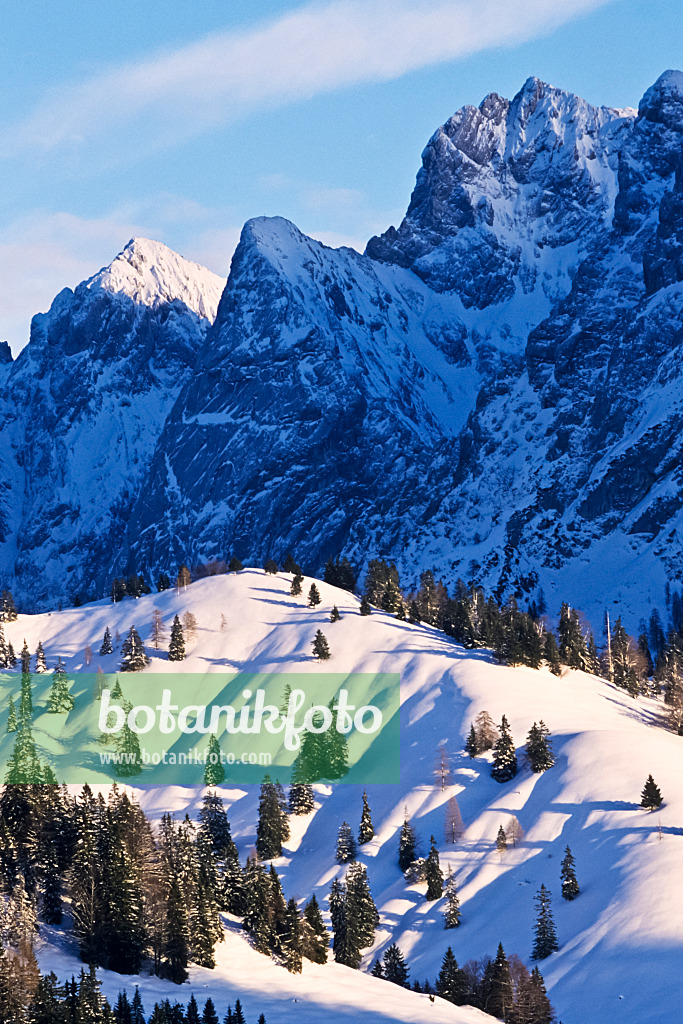 386005 - Wilder Kaiser, Naturschutzgebiet Kaisergebirge, Österreich