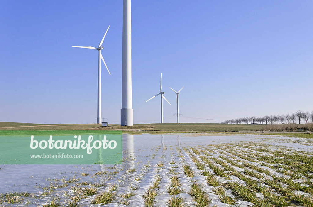 578005 - Windräder auf einem Feld mit Wintergetreide, das von einer Eisfläche bedeckt ist