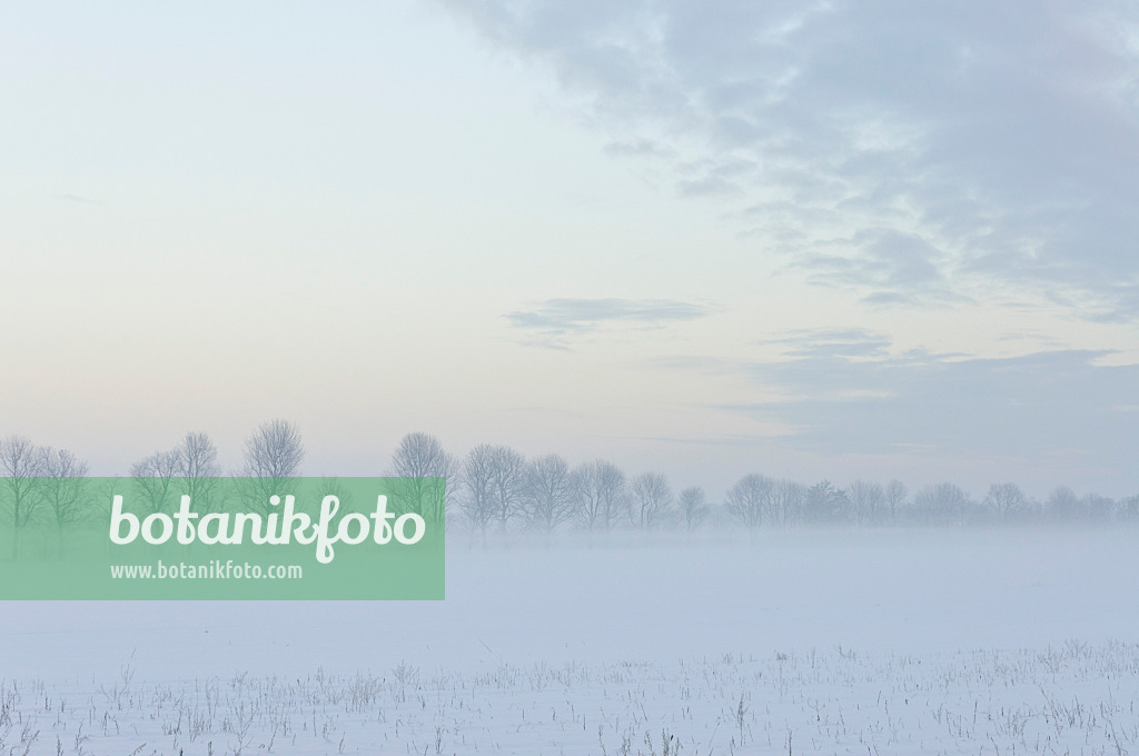 491060 - Winterlandschaft in der Abenddämmerung