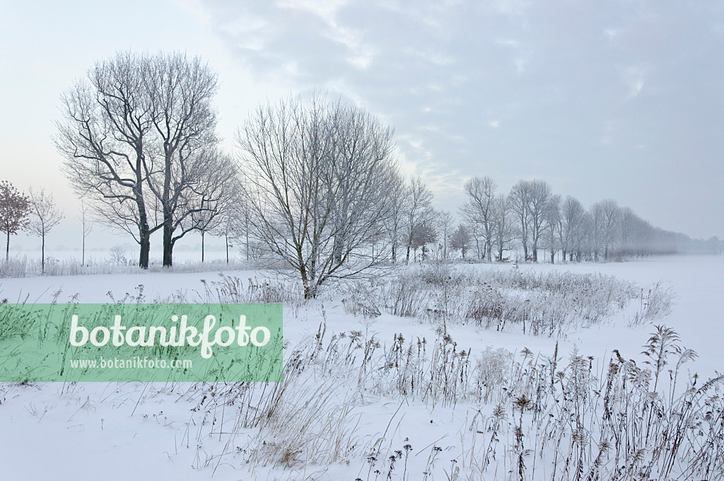 491062 - Winterlandschaft in der Abenddämmerung