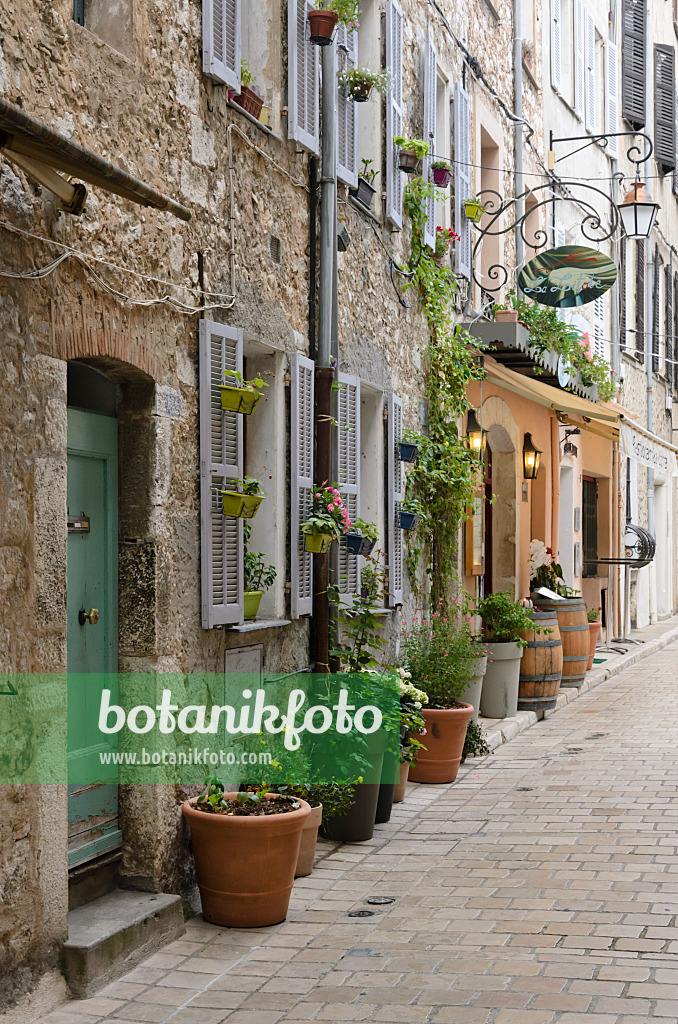 569089 - Alley with flower tubs in the old town, Vence, France