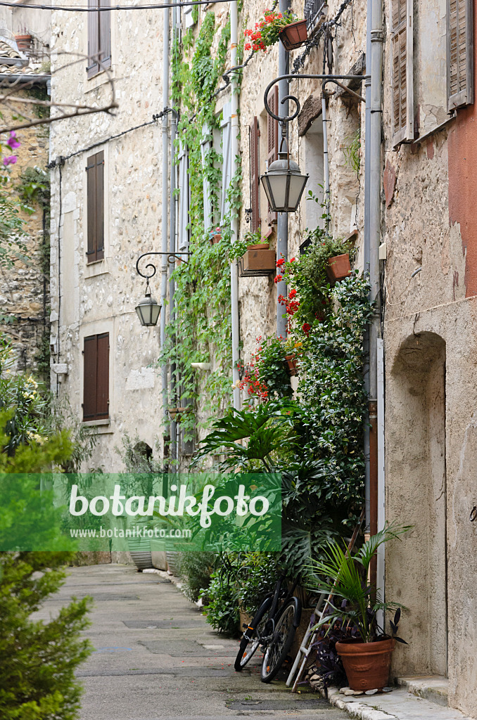 569090 - Alley with flower tubs in the old town, Vence, France