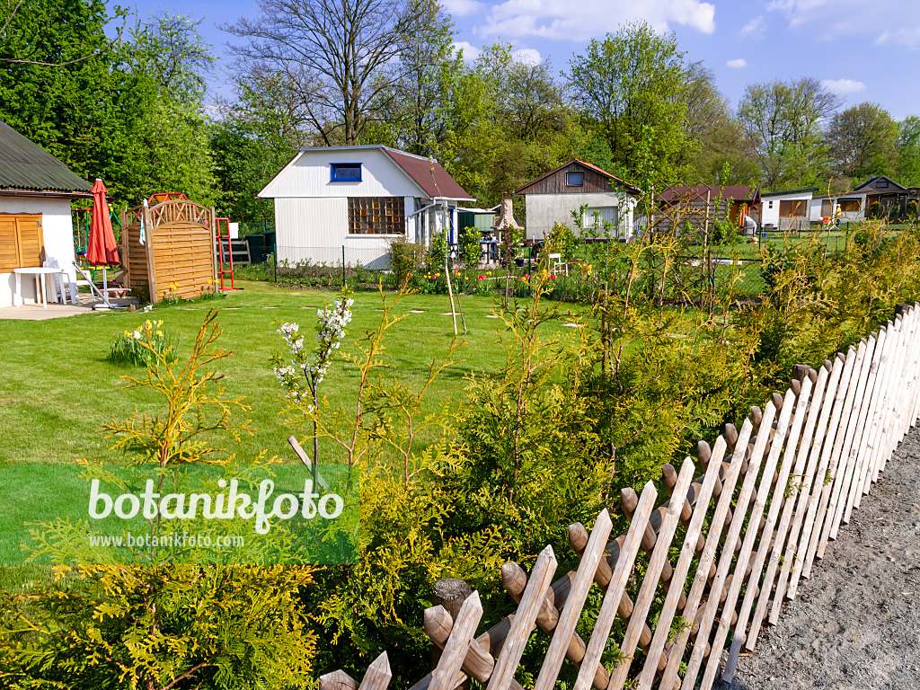 459071 - Allotment garden