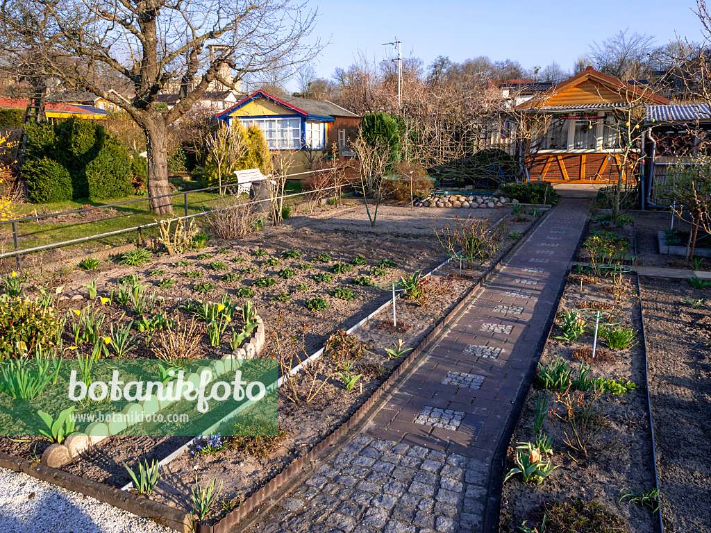 458007 - Allotment garden in winter