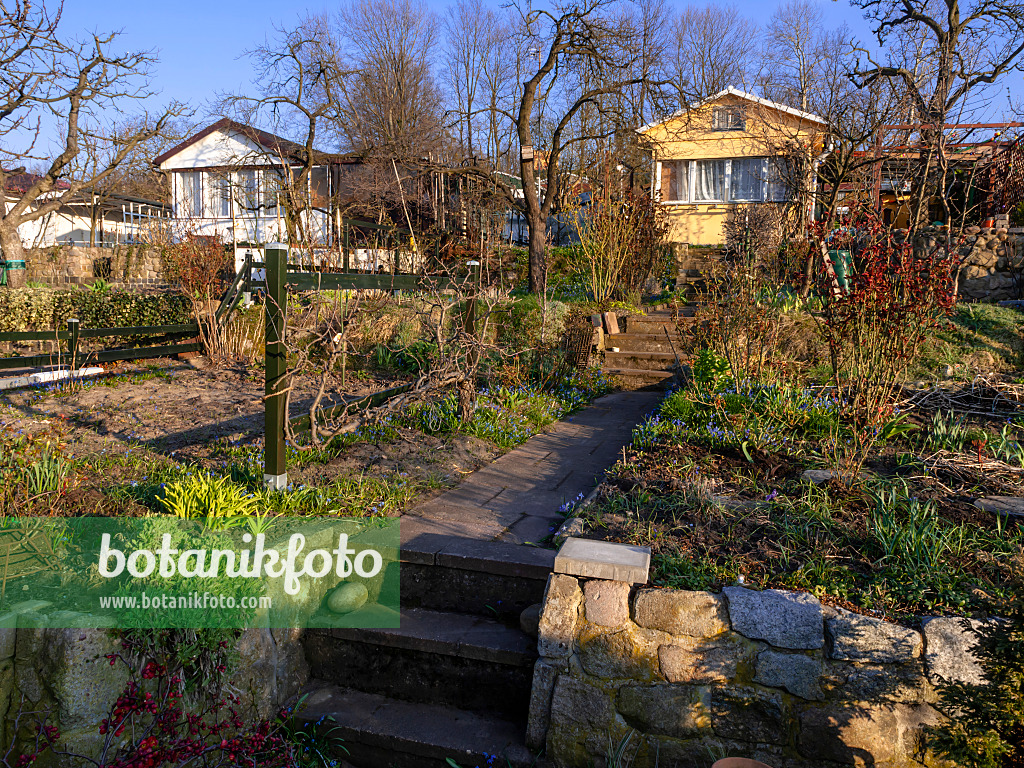 458008 - Allotment garden in winter