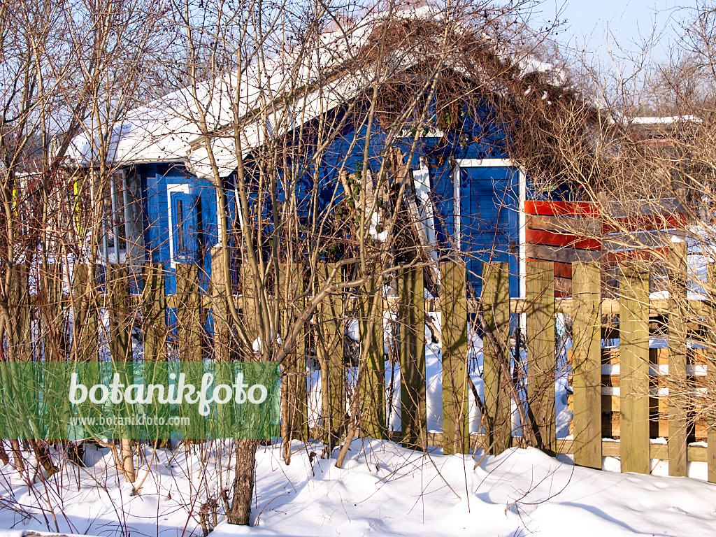 480034 - Allotment garden in winter