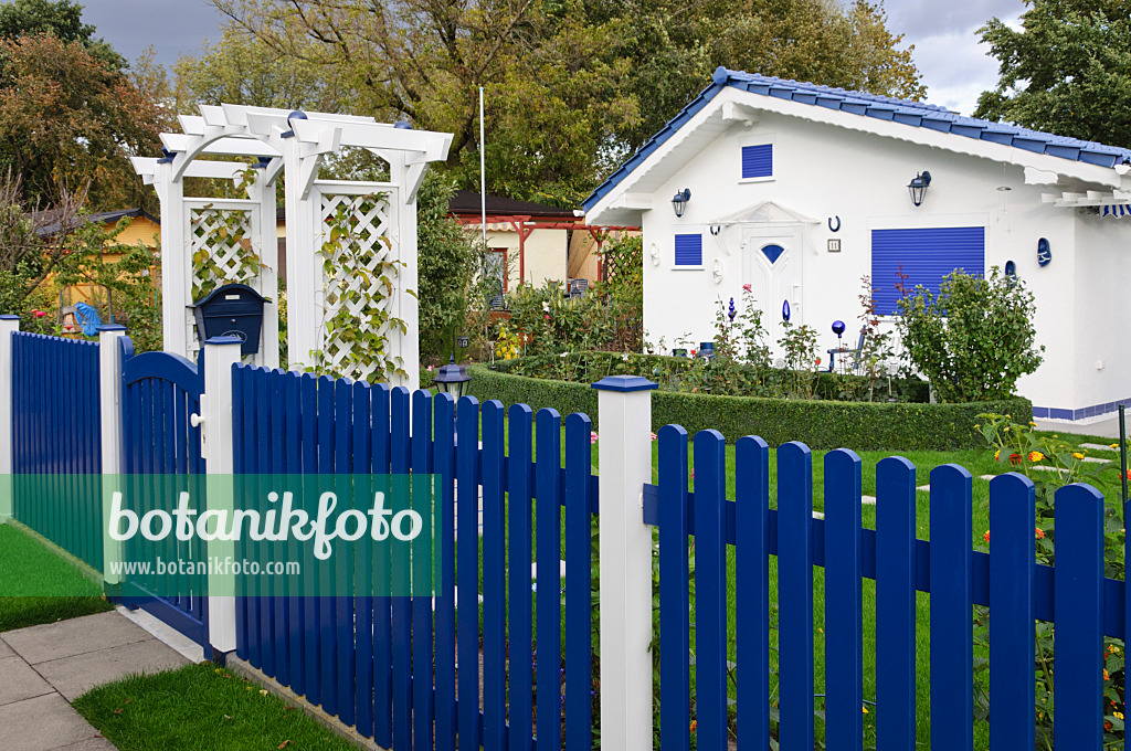 477002 - Allotment garden with blue fence