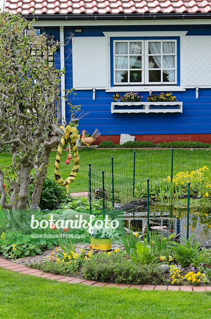 531085 - Allotment garden with blue garden house and garden pond