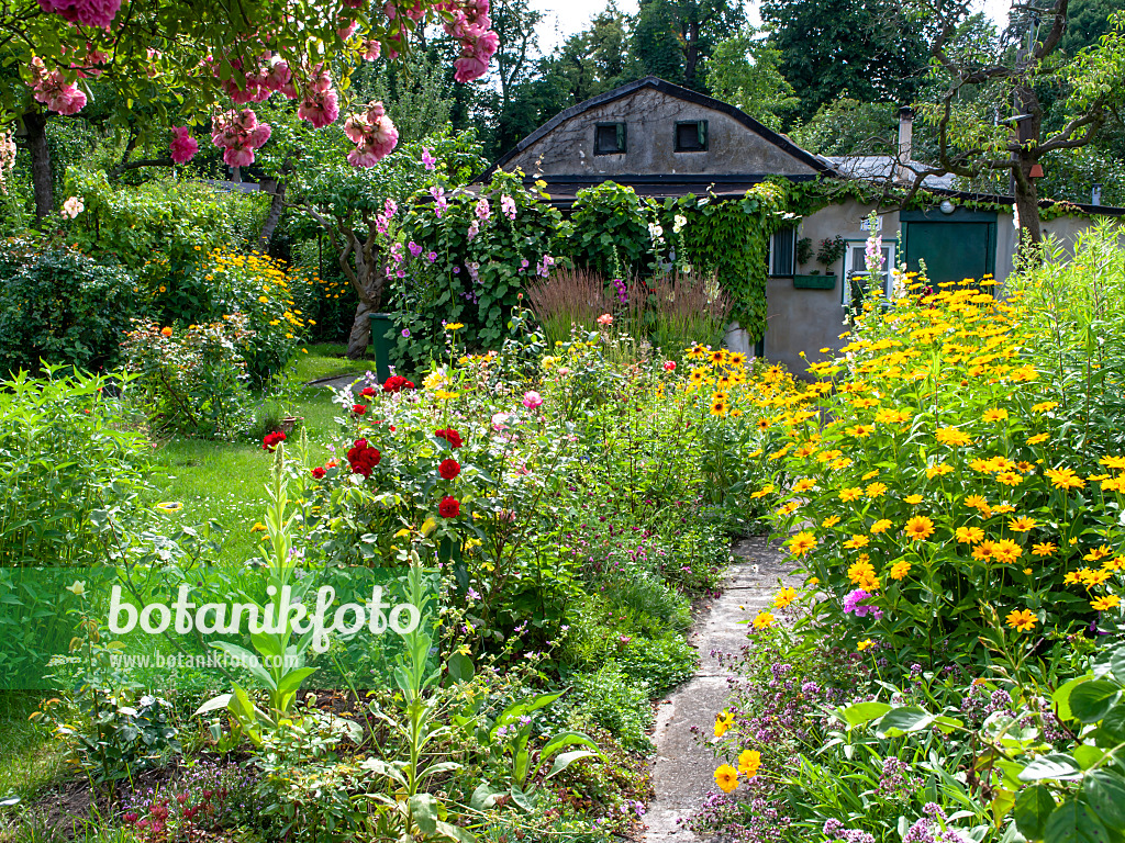 449054 - Allotment garden with old garden house