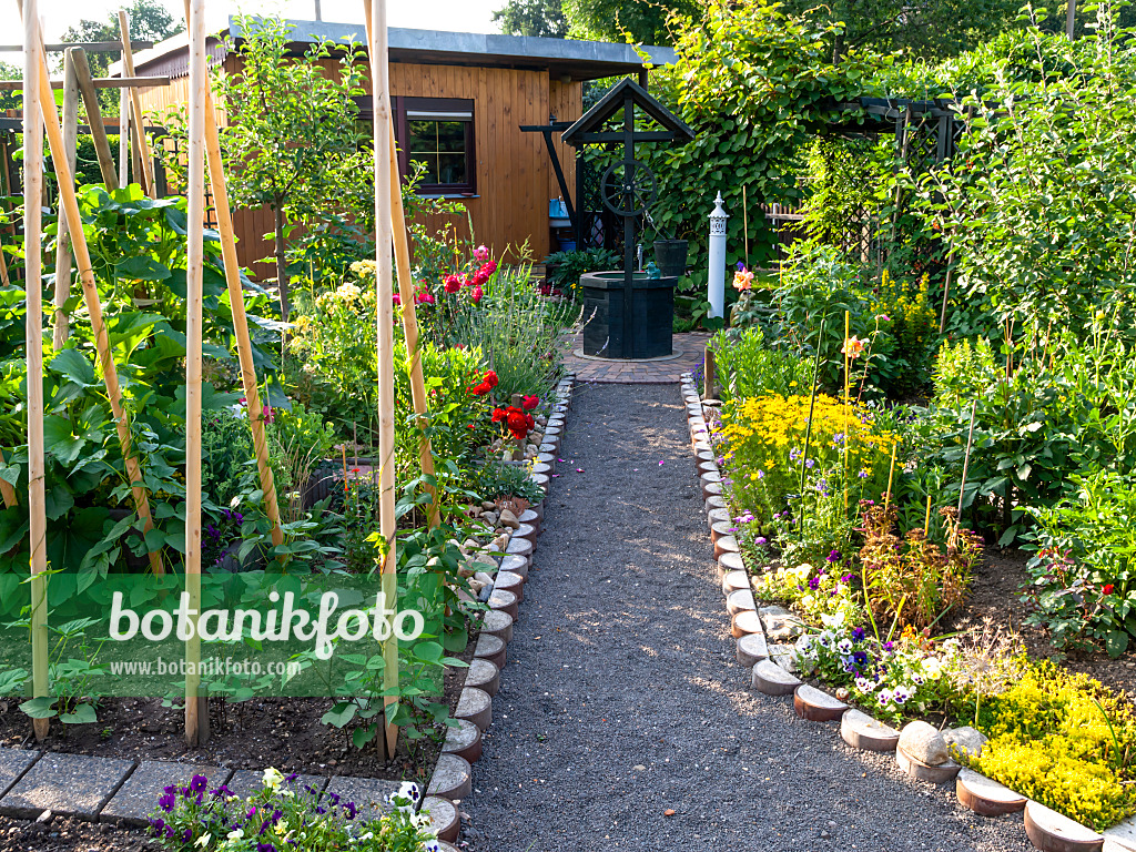 427037 - Allotment garden with vegetable bed