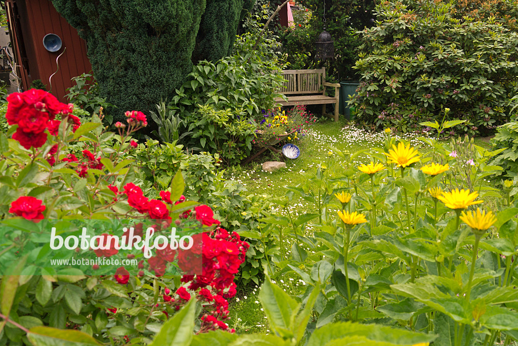 545170 - Allotment garden with wooden bench