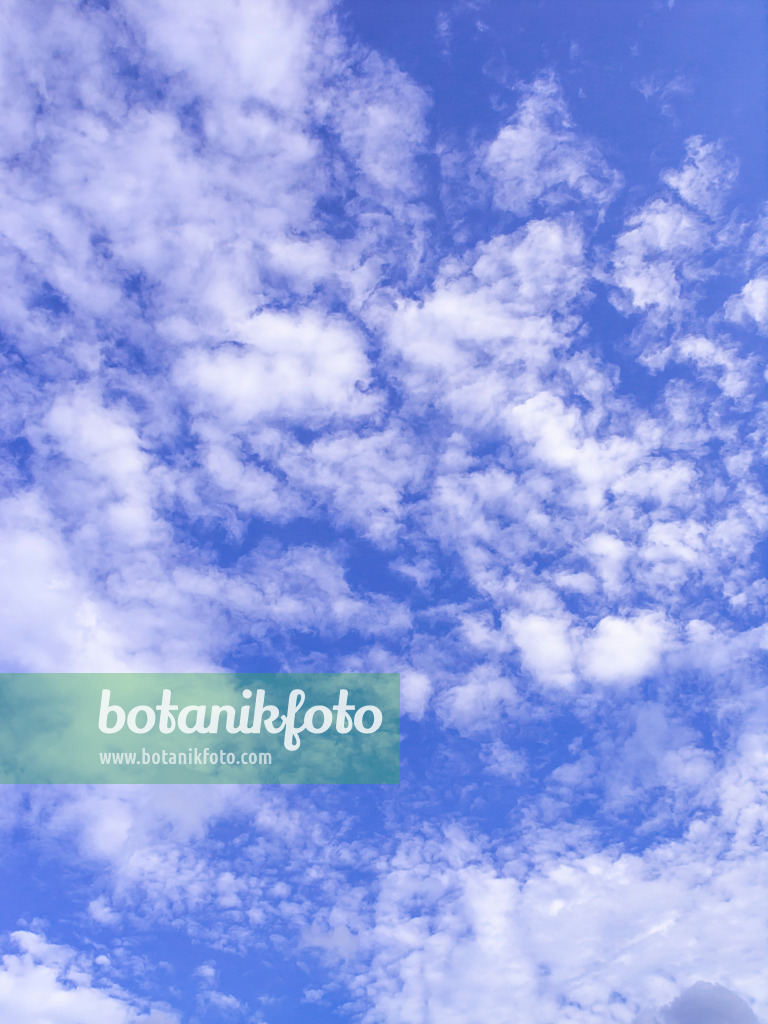 451059 - Altocumulus clouds under a deep blue sky