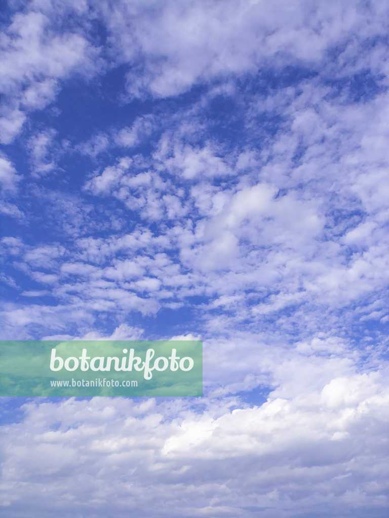 451060 - Altocumulus clouds under a deep blue sky