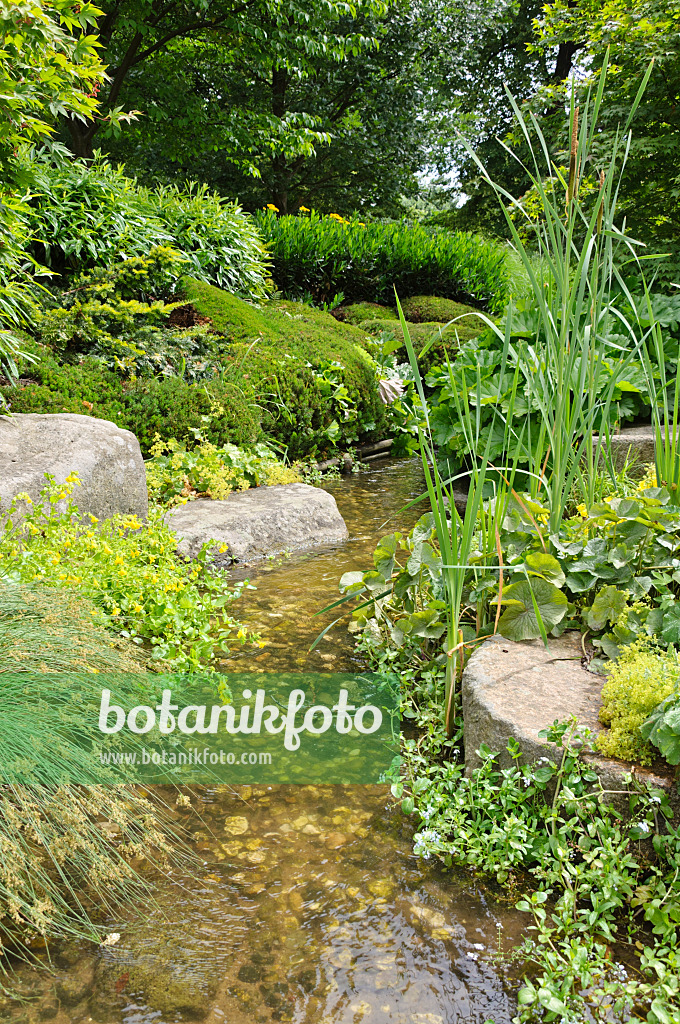 486040 - Artificial brook in a natural garden