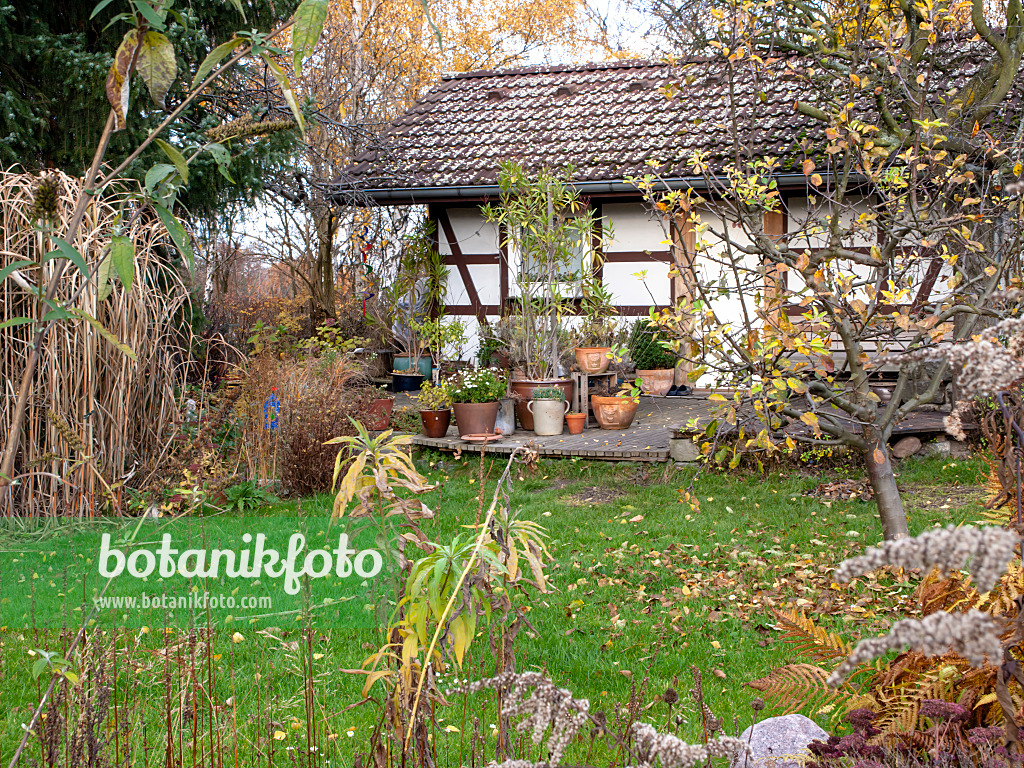 478075 - Autumnal allotment garden