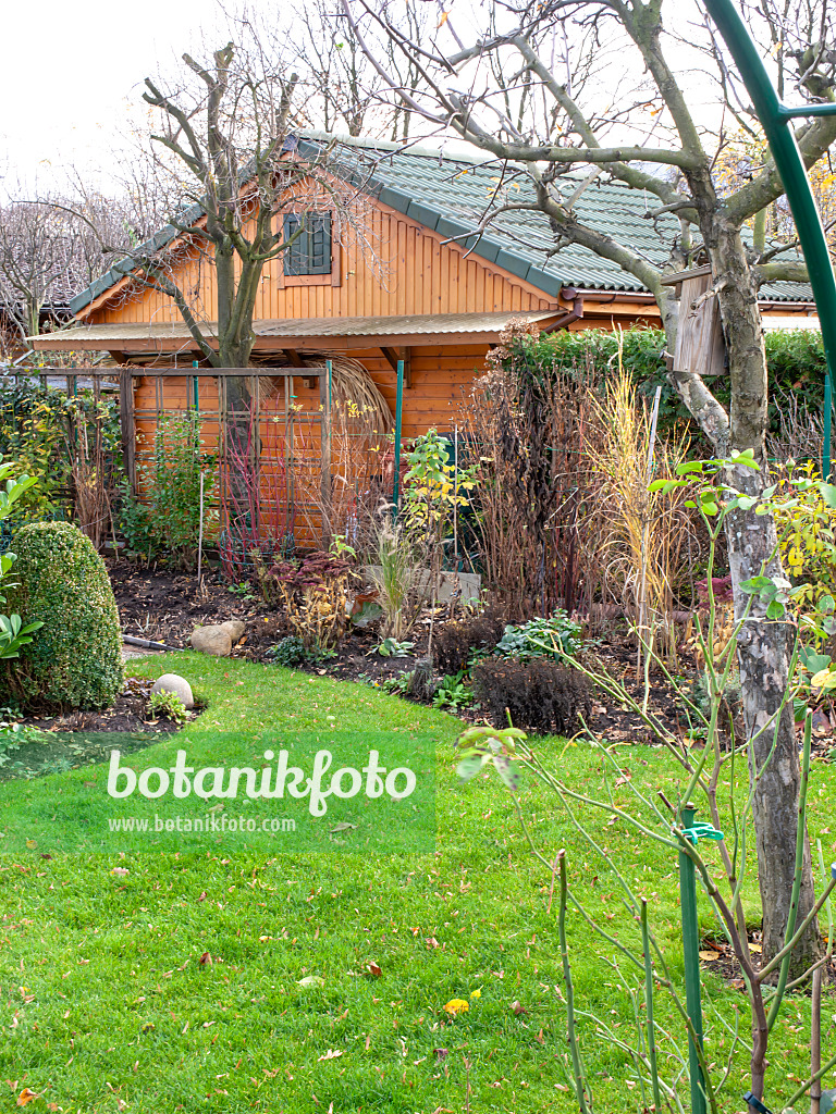 478083 - Autumnal allotment garden