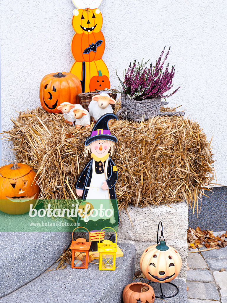 477141 - Autumnal decoration