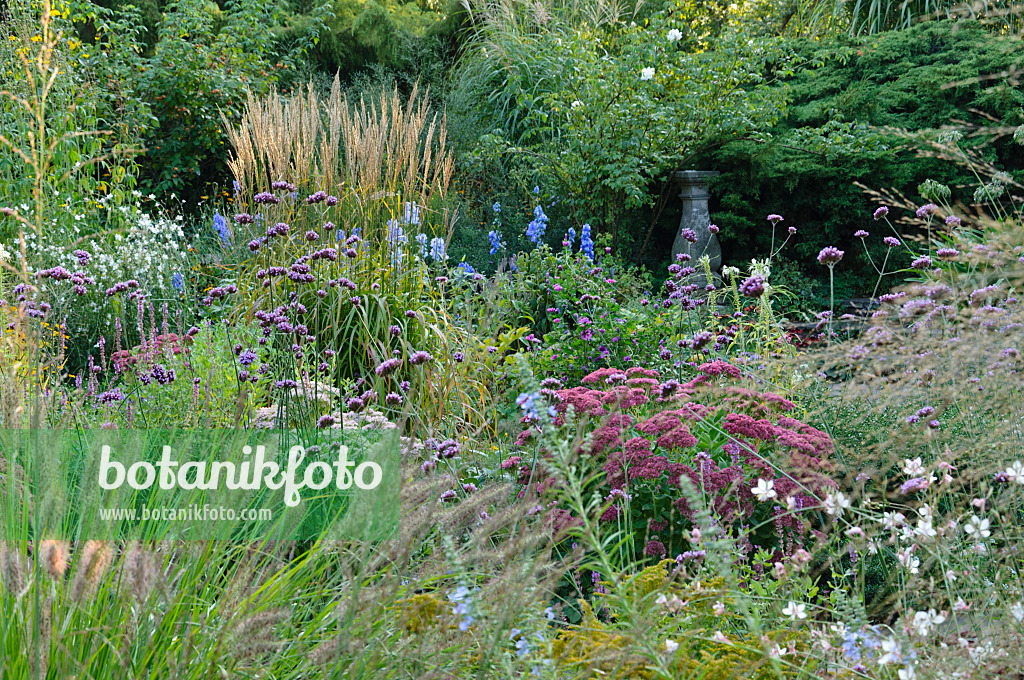 476204 - Autumnal garden 476204 - Autumnal garden