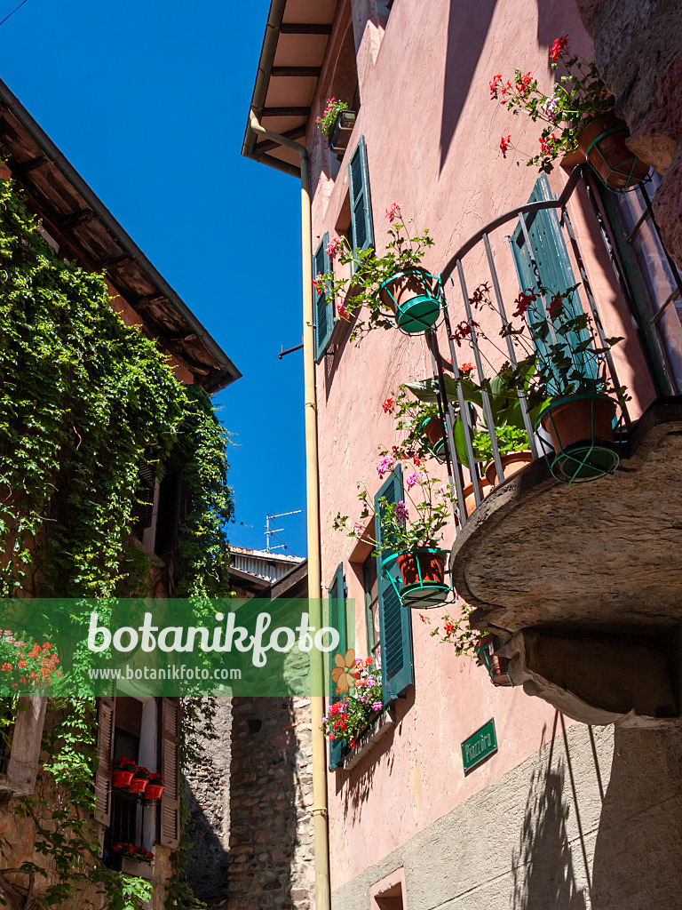 414096 - Balcony with flowers, Carona, Switzerland